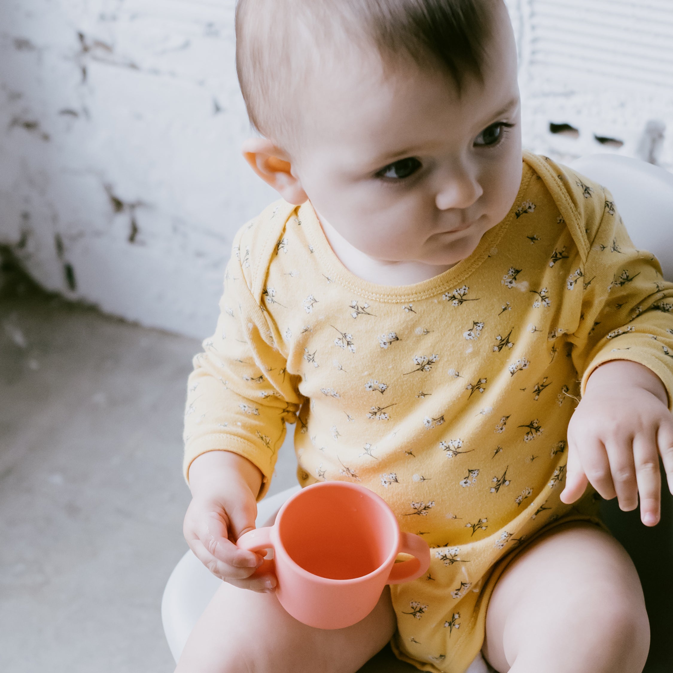 The Safe & Non-Toxic Dinnerware For the Right Milestone.