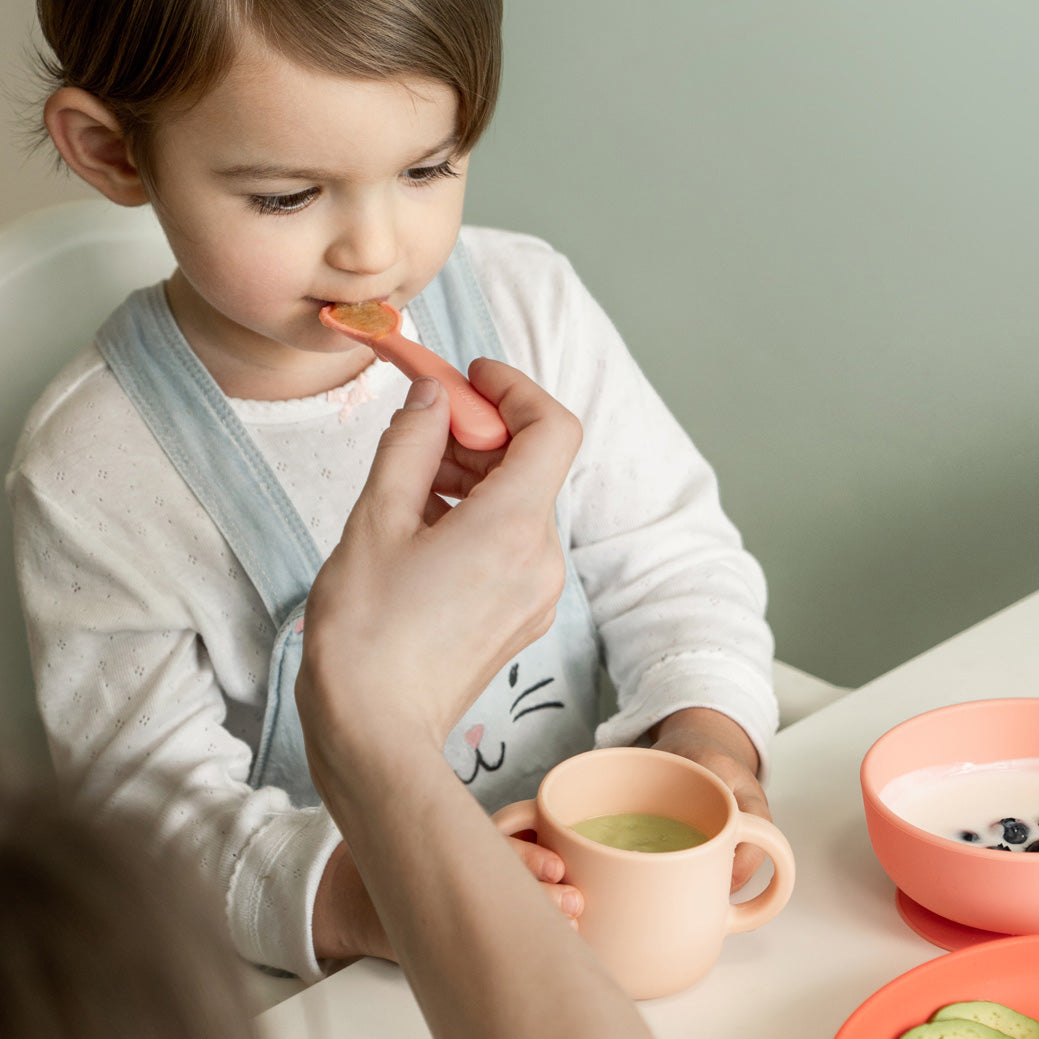 Silicone Baby Meal Set #color_Coral