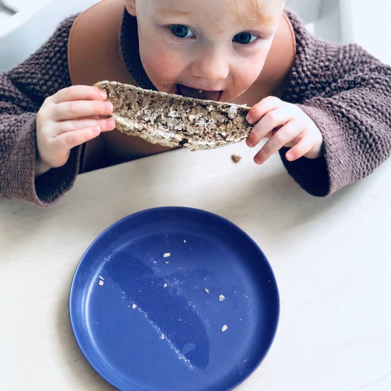 Kids Plate - Set of 4 #color_Royal Blue