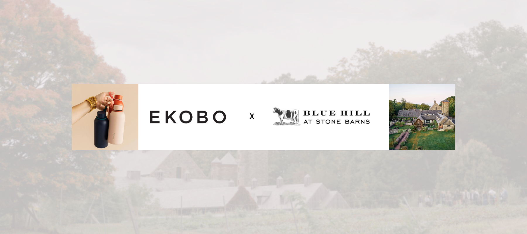 EKOLAB: A Collaboration with Blue Hill Market