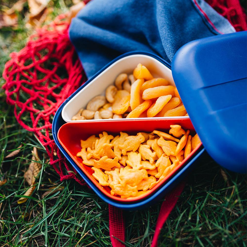 Square Bento Lunch Box #color_Royal Blue