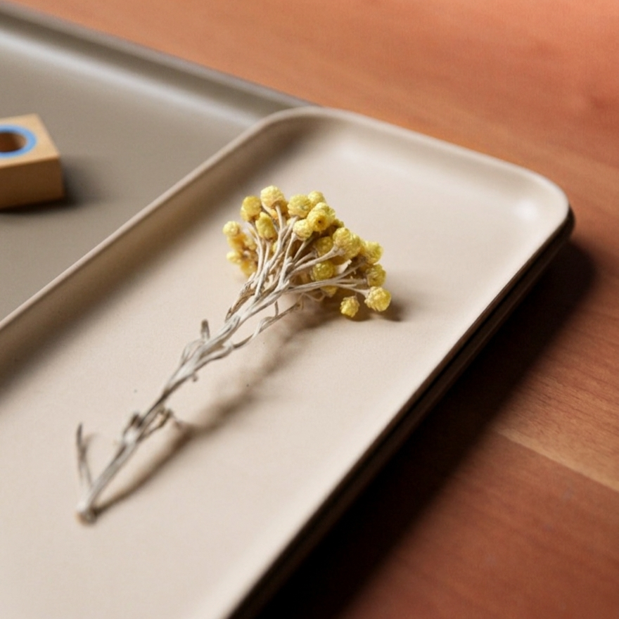 Small Tray - Sand - Set of 2