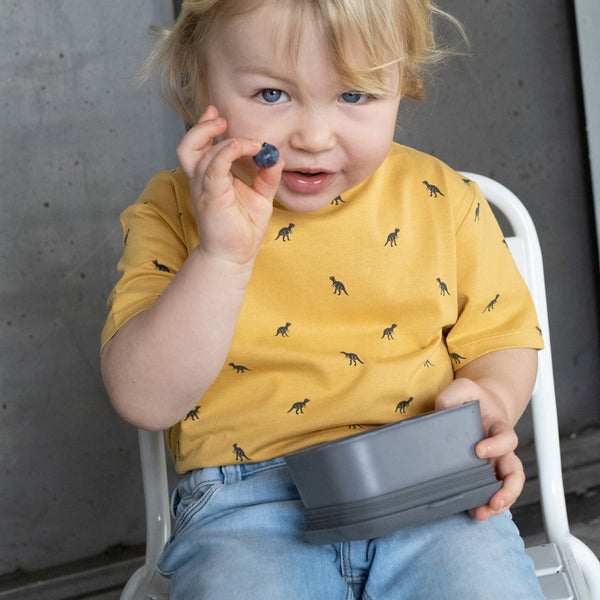 Store & Go Food Container - Smoke