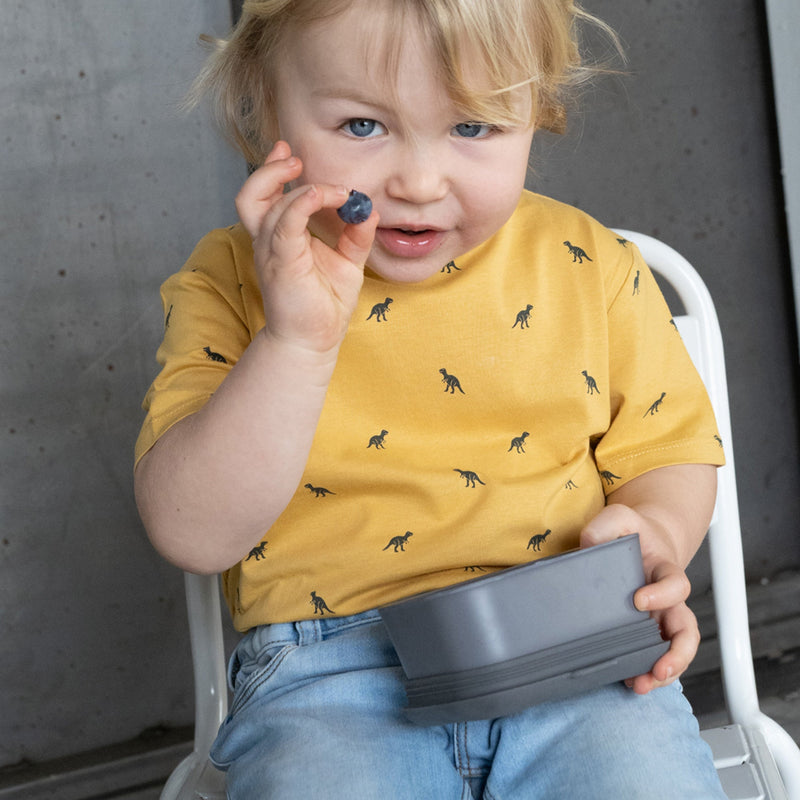 Store & Go Food Container - Smoke