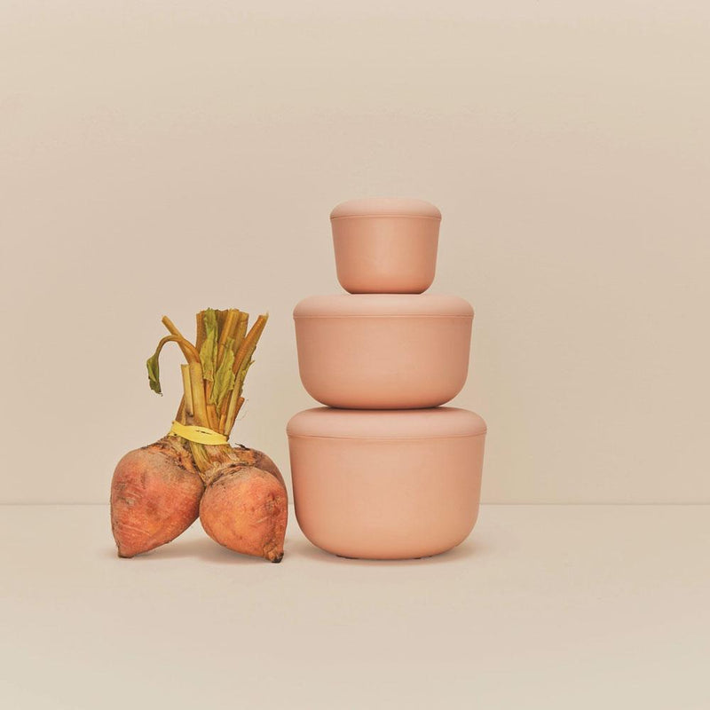 Store & Go Food Container - Blush