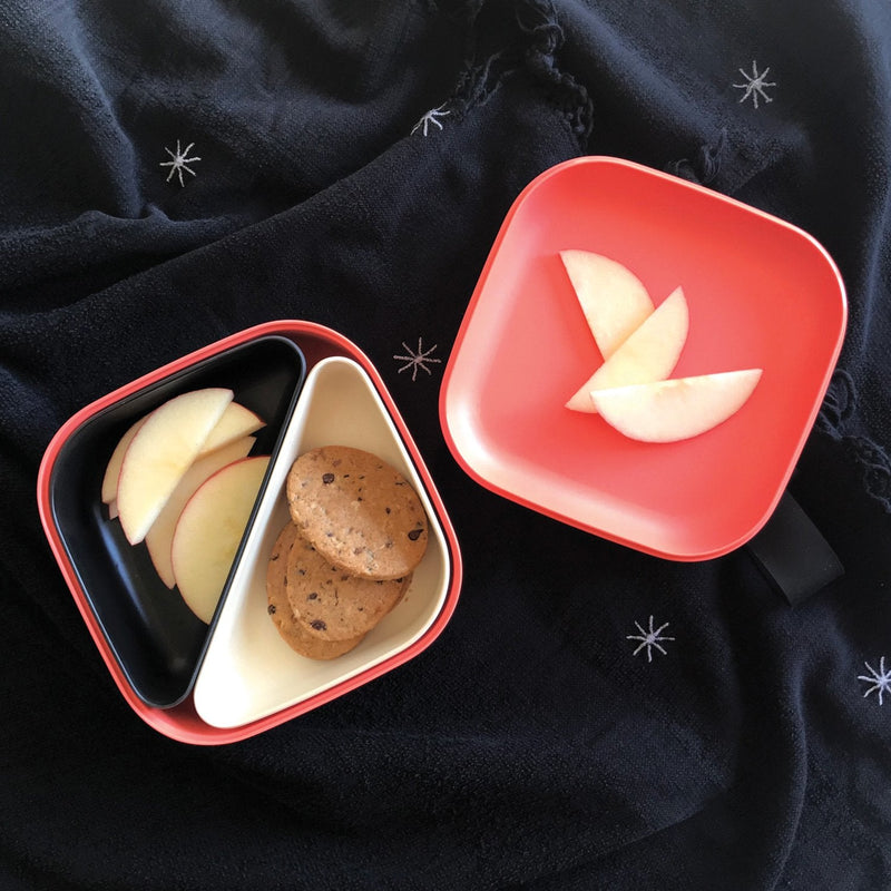 Square Bento Lunch Box - Coral
